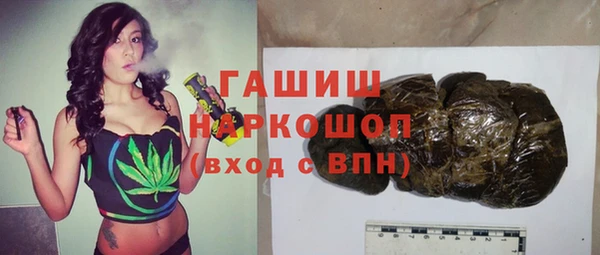 хмурый Алексин