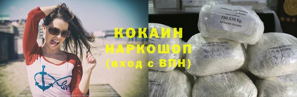 хмурый Алексин