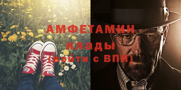 хмурый Алексин