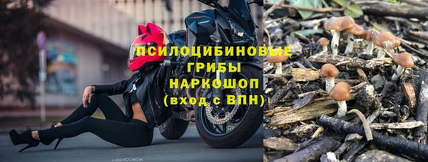 хмурый Алексин