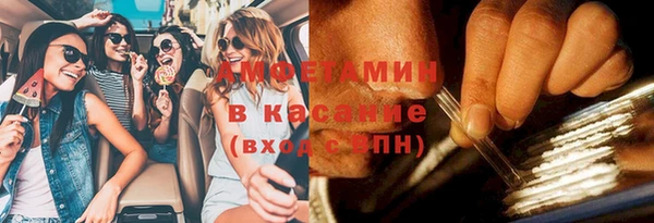 хмурый Алексин