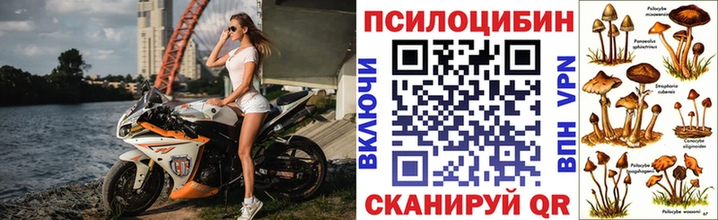 Псилоцибиновые грибы Psilocybine cubensis  Гуково 