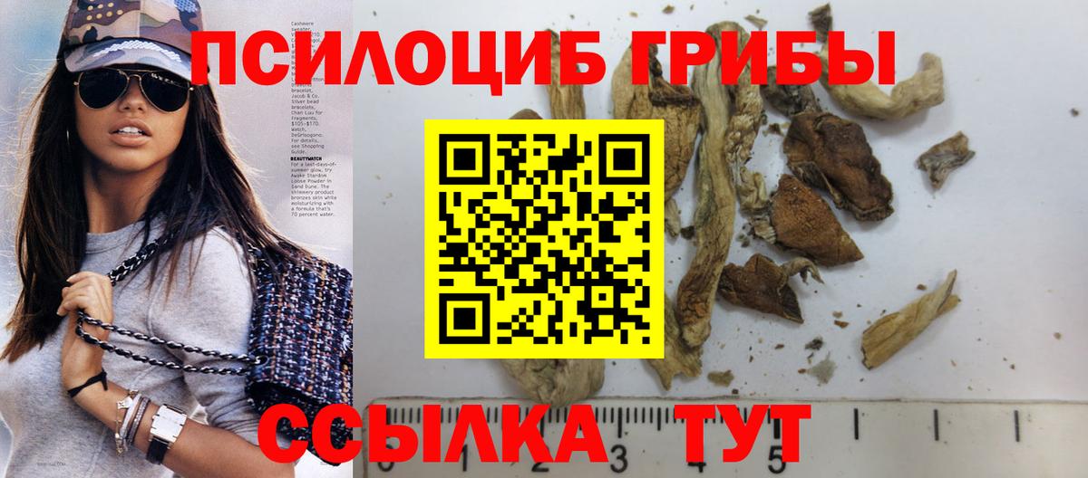 Гуково  Галлюциногенные грибы Cubensis  Вход с VPN 